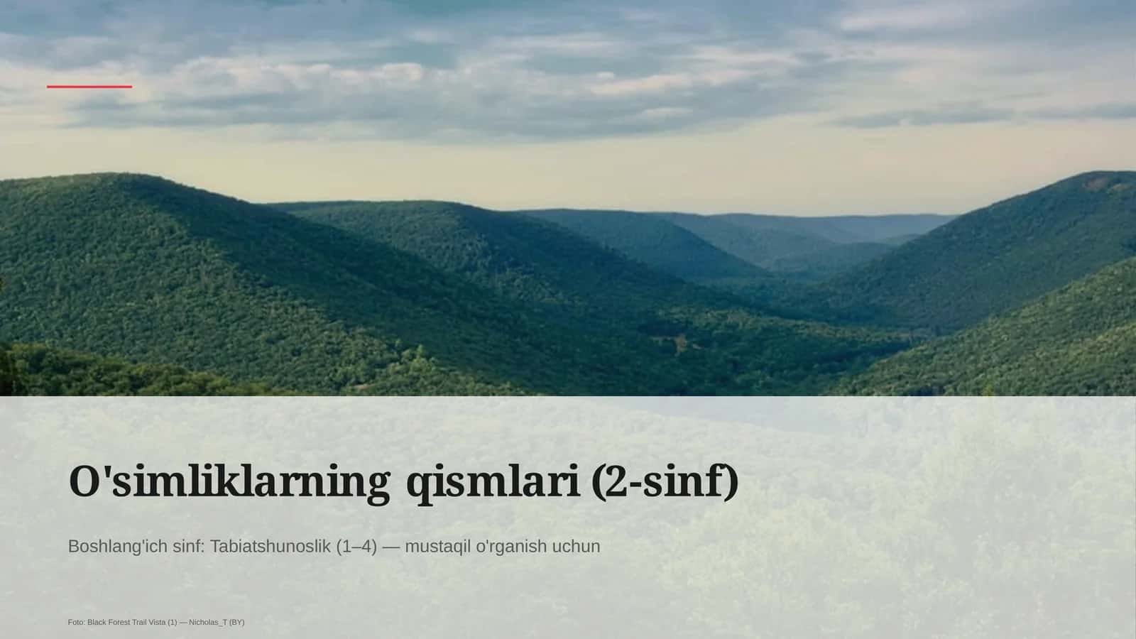 O'simliklarning qismlari (2-sinf)