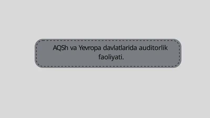 Auditorlik faoliyati
