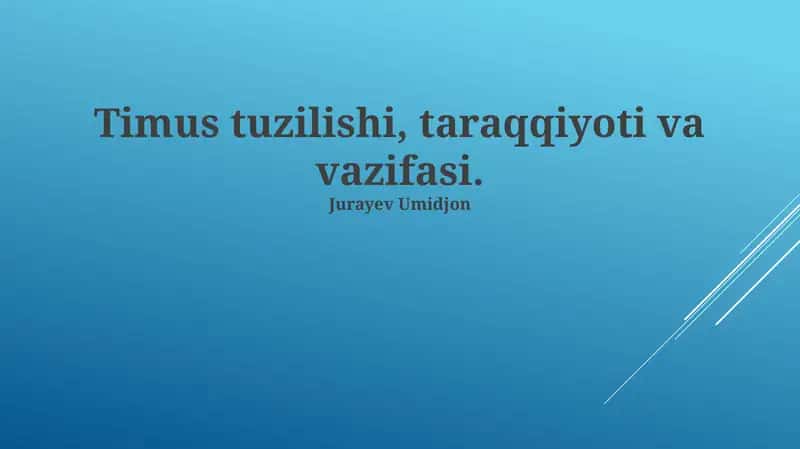 Timus tuzilishi, taraqqiyoti va vazifasi