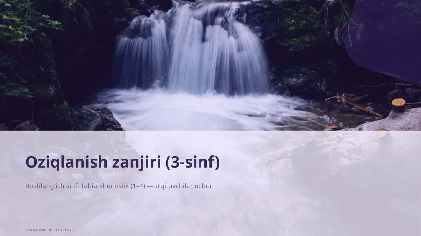 Oziqlanish zanjiri (3-sinf)
