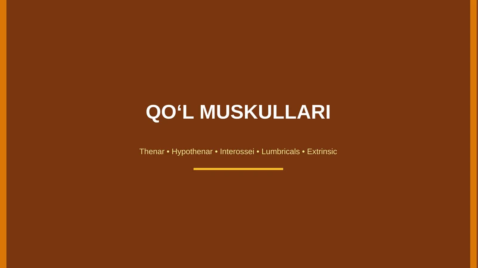 Qo'l muskullari