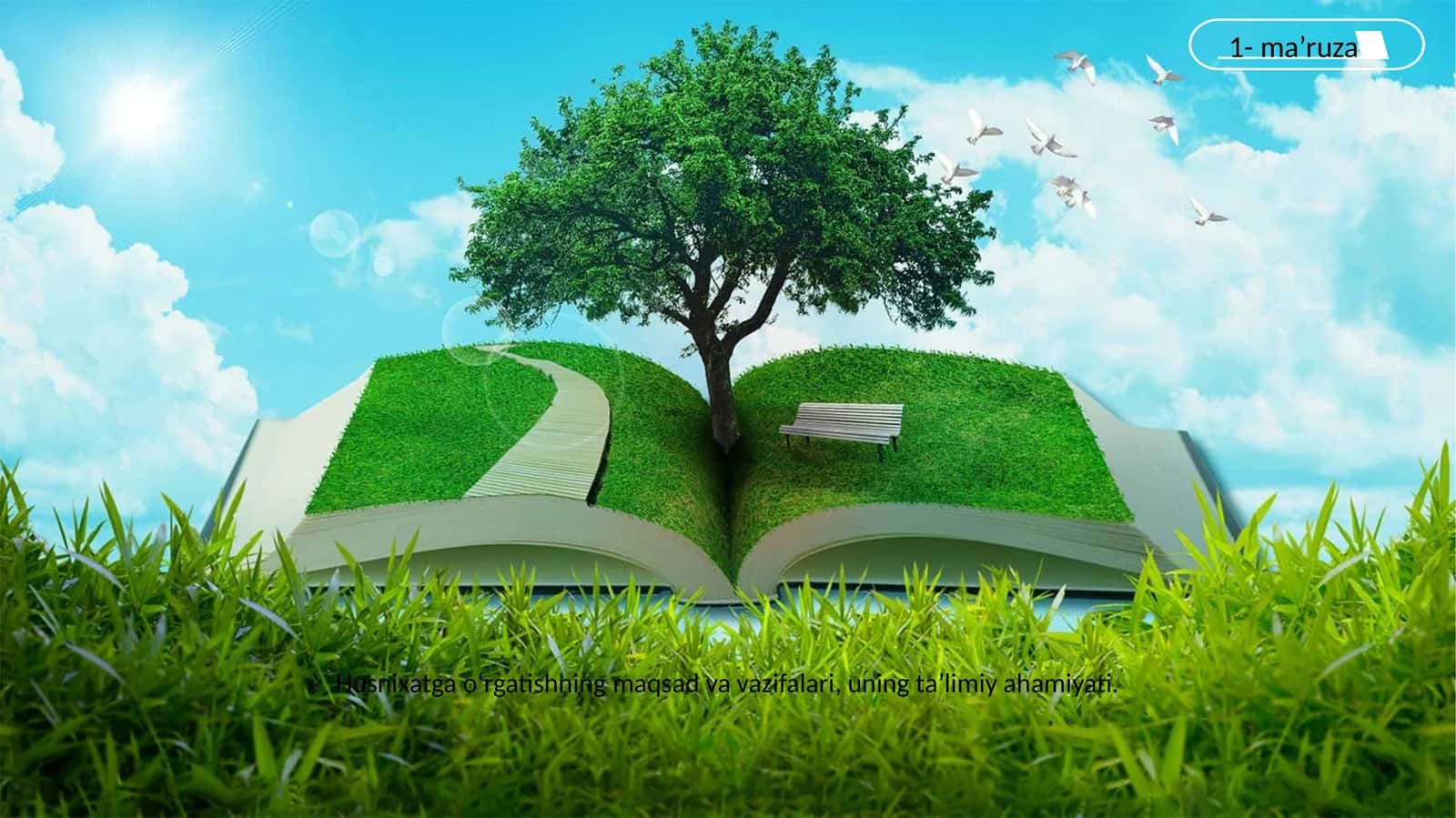 Husnixat va uni o‘qitish metodikasi