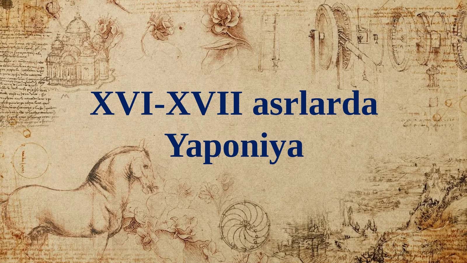 XVI-XVII asrlarda Yaponiya