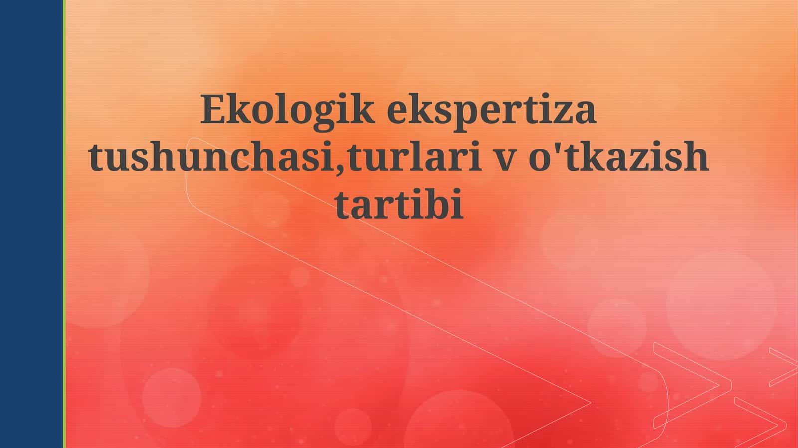 Ekologik ekspertiza