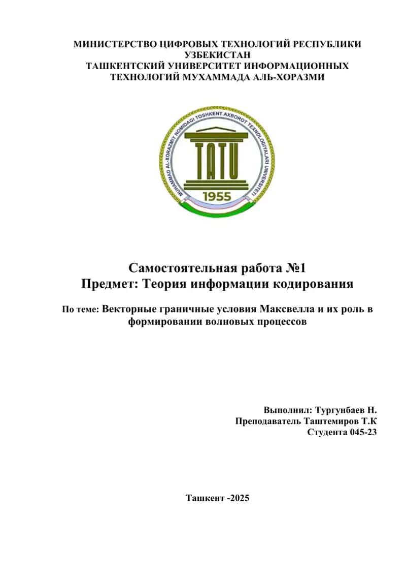 Векторные граничные условия Максвелла и их роль в формировании волновых процессов
