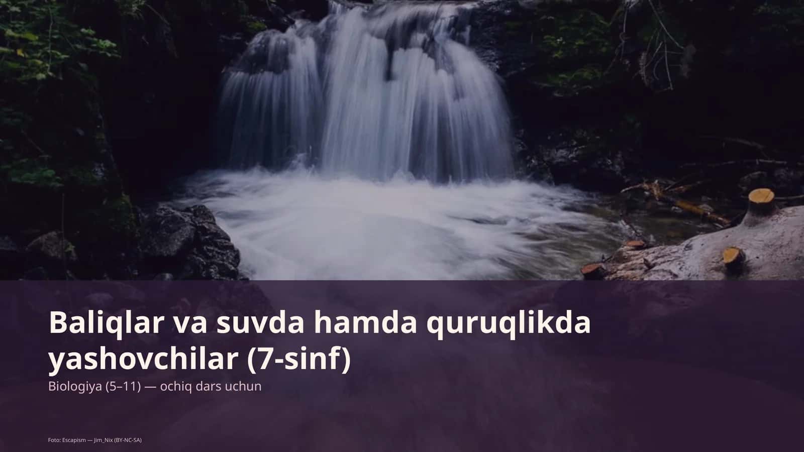 Baliqlar va suvda hamda quruqlikda yashovchilar (7-sinf)