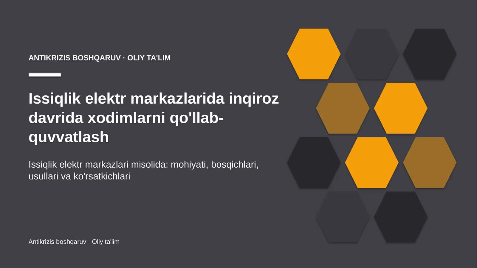 Issiqlik elektr markazlarida inqiroz davrida xodimlarni qo'llab-quvvatlash