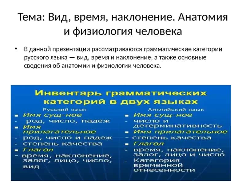 Грамматические категории русского языка