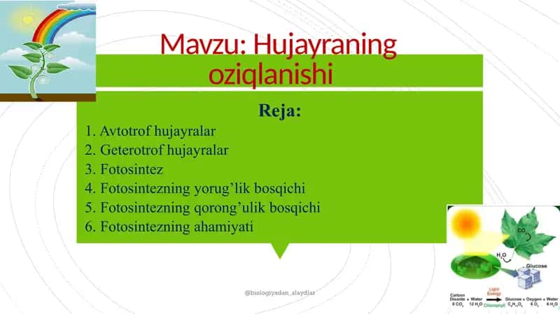 "HUJAYRA VA UNING TARKIBIY QISMLARI"