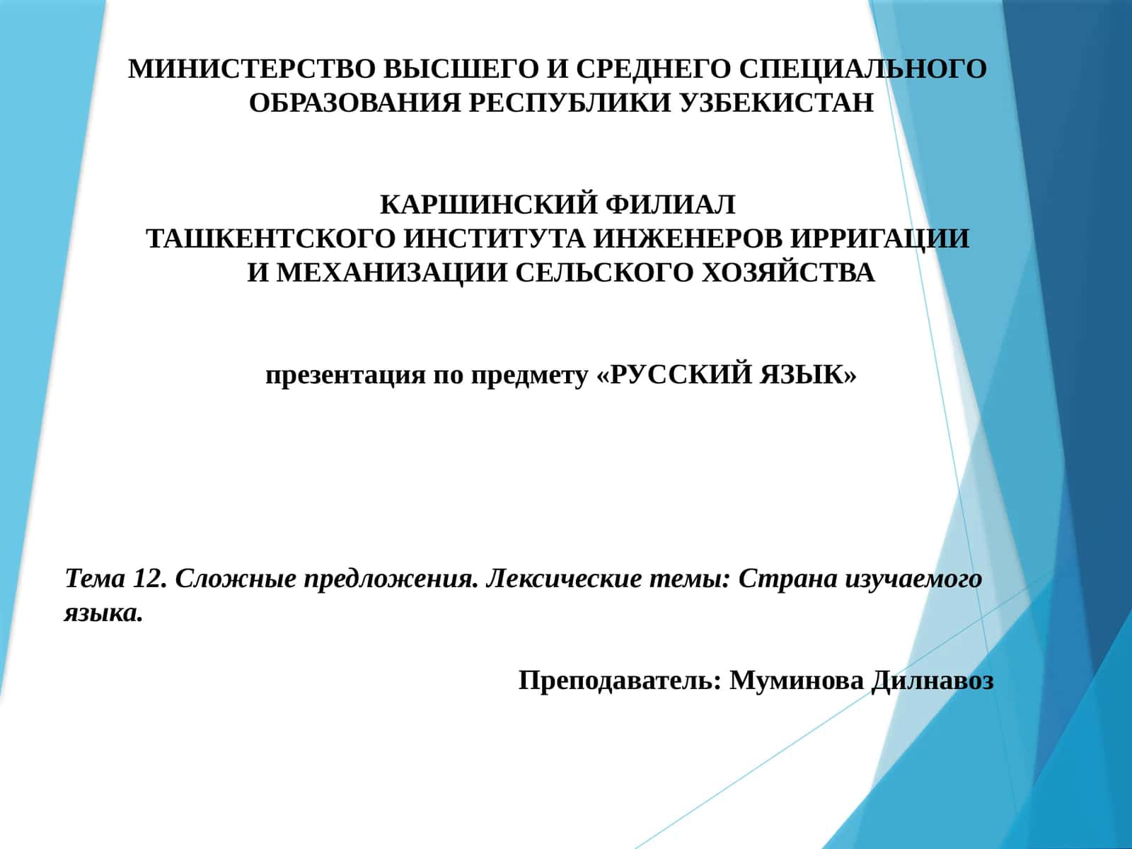 Презентация по предмету «Русский язык»