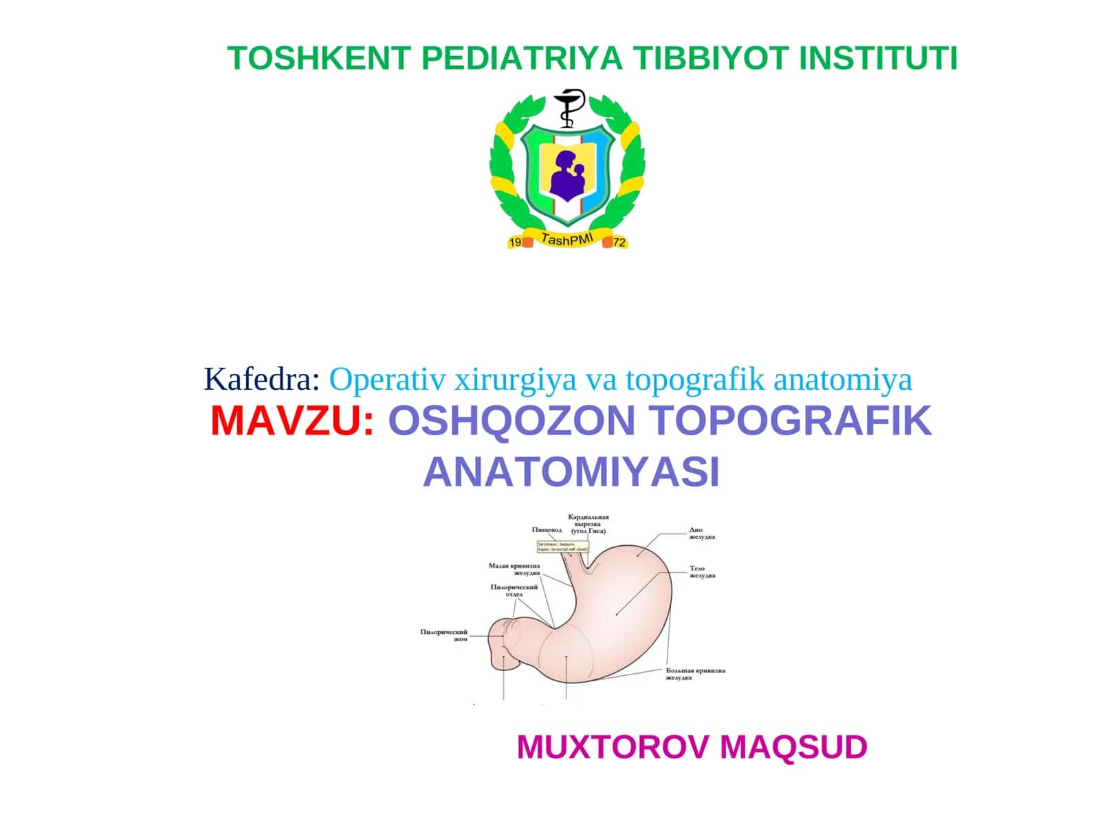 OSHQOZON TOPOGRAFIK ANATOMIYASI