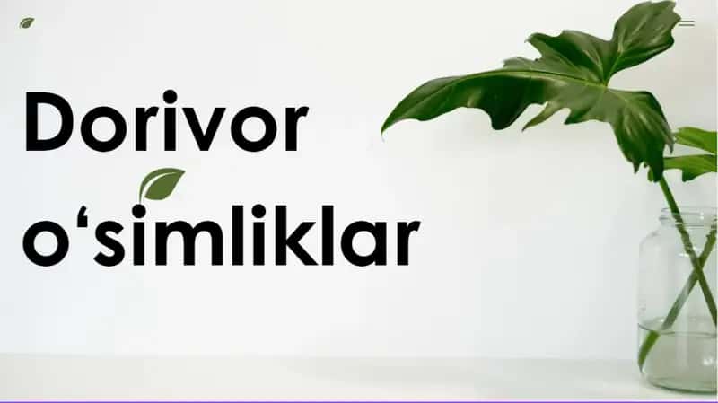 Dorivor o'simliklar