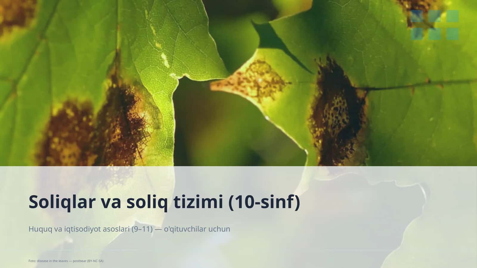 Soliqlar va soliq tizimi (10-sinf)