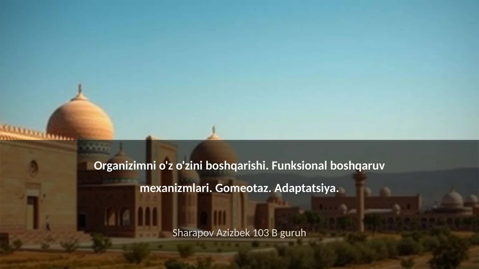 Organizimni o'z o'zini boshqarishi