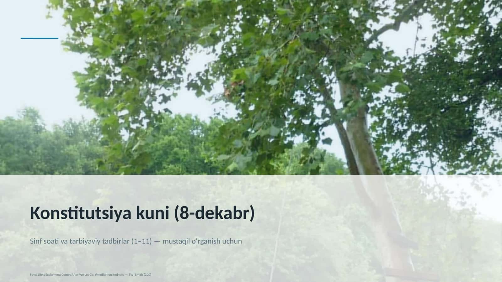 Dars rejasi