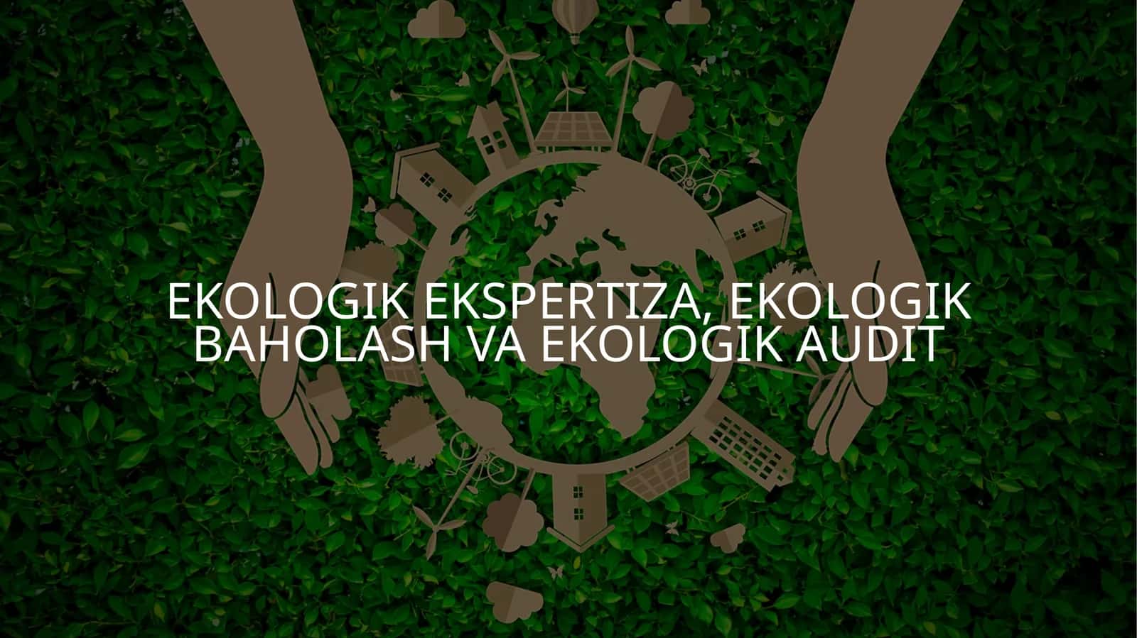 Ekologik ekspertiza, ekologik baholash va ekologik audit