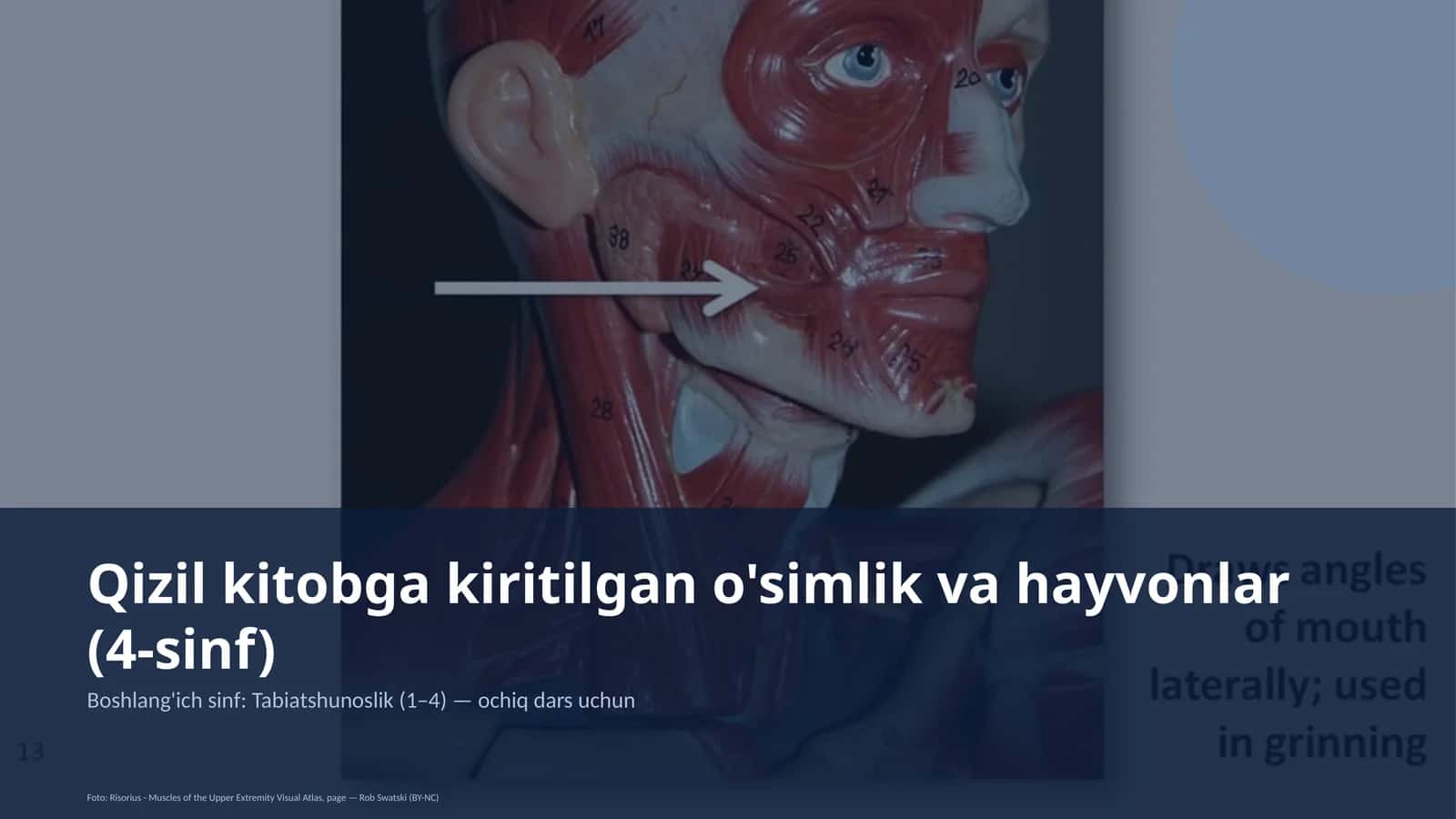 Qizil kitobga kiritilgan o'simlik va hayvonlar (4-sinf)