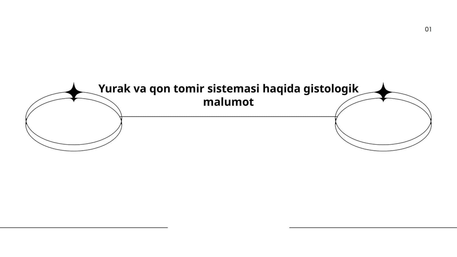 Yurak va qon tomir sistemasi haqida gistologik malumot