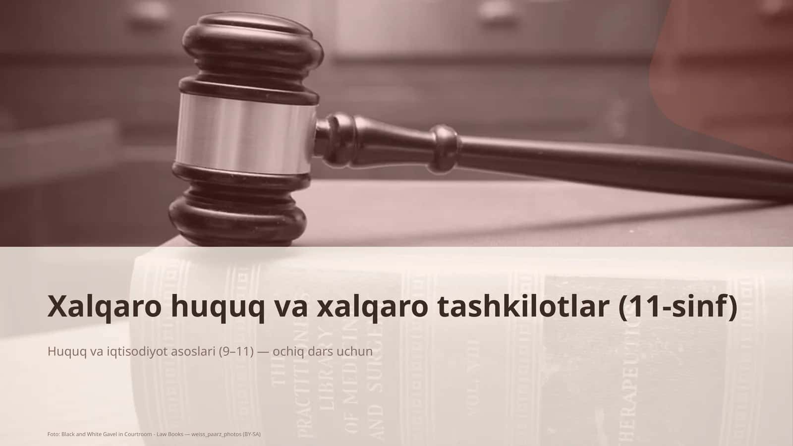 Xalqaro huquq va xalqaro tashkilotlar (11-sinf)