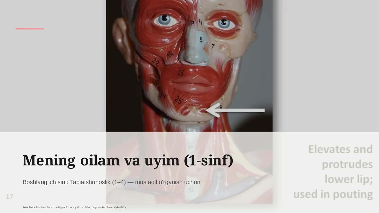 Mening oilam va uyim (1-sinf)
