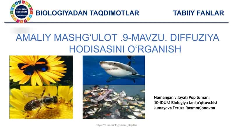 Independent work in English on the topic of Malaria