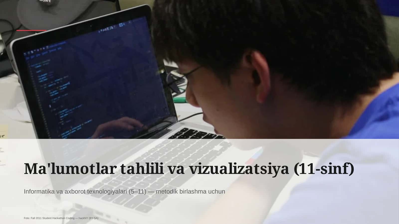 Ma'lumotlar tahlili va vizualizatsiya (11-sinf)