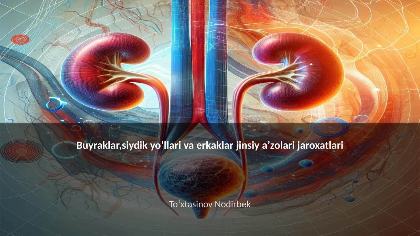 Buyraklar,siydik yoʻllari va erkaklar jinsiy aʼzolari jaroxatlari