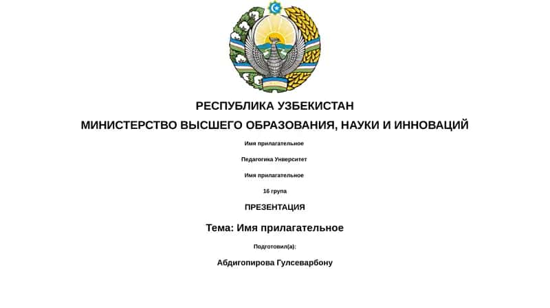 Имя прилагательное