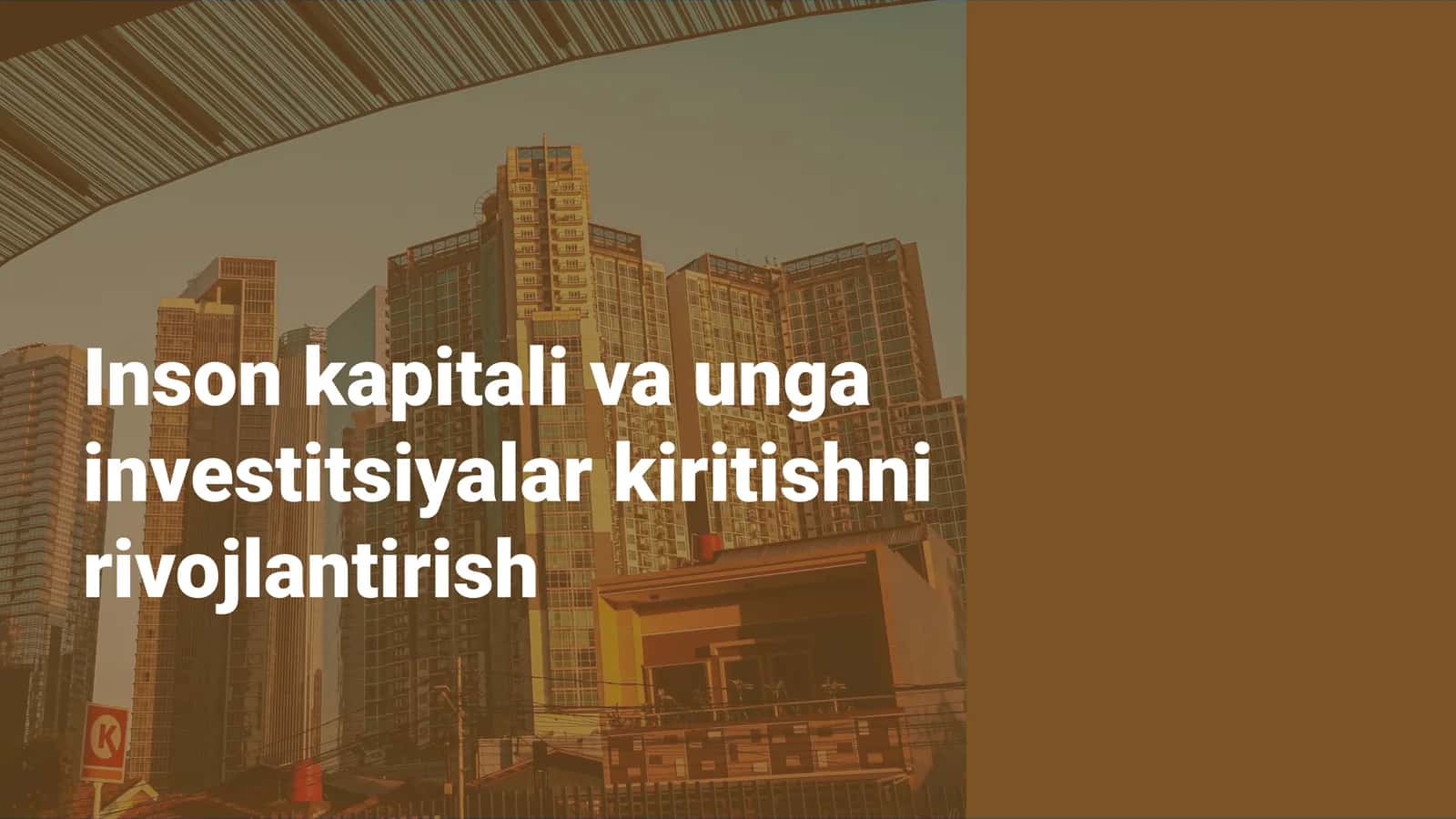Inson kapitalini rivojlantirish