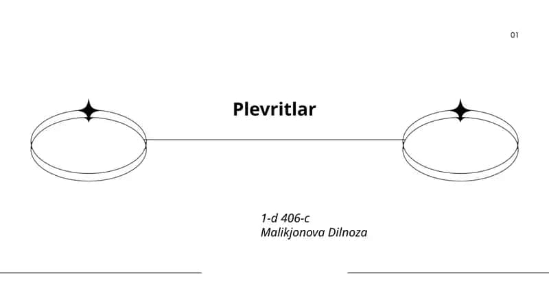 Plevritlar