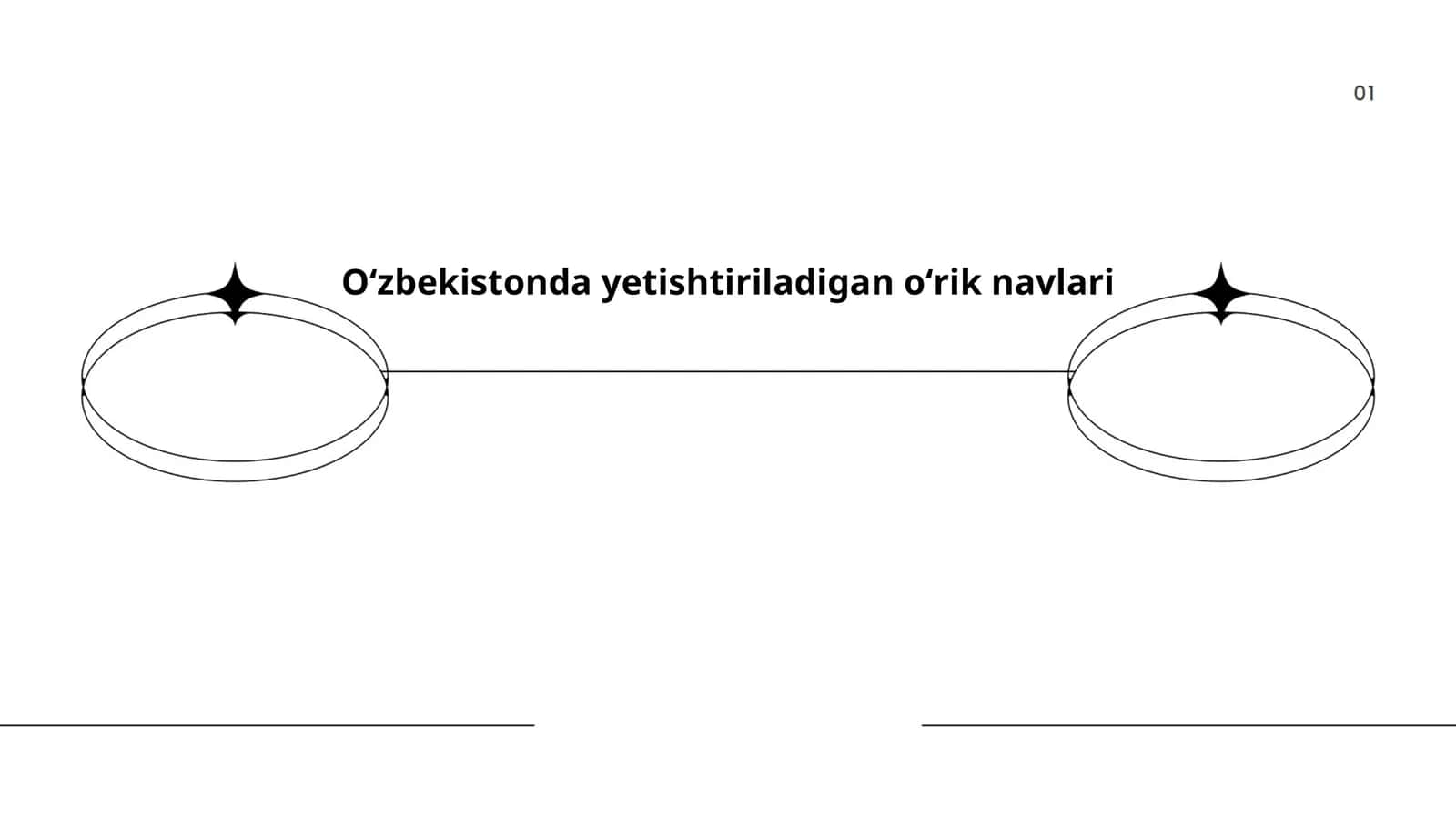 Oʻzbekistonda yetishtiriladigan oʻrik navlari