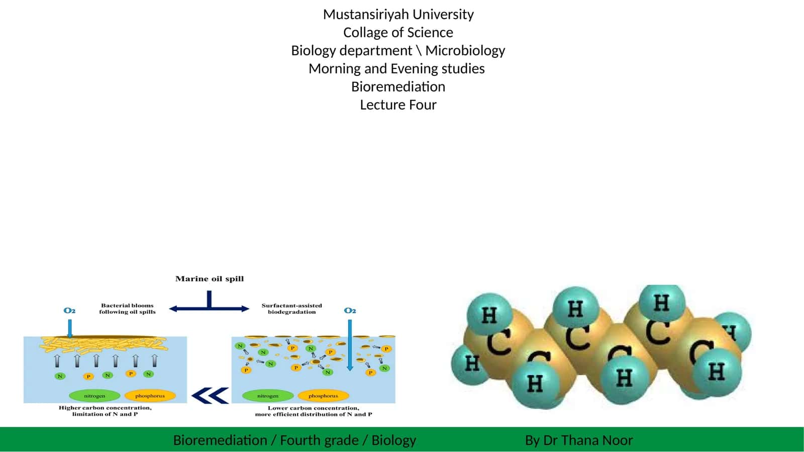 Bioremediation / Fourth grade / Biology By Dr Thana Noor
