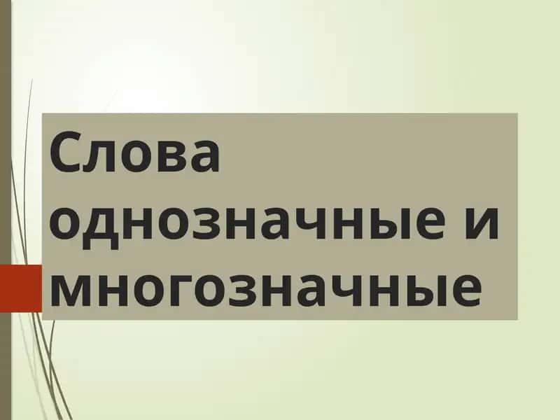 Однозначные и многозначные слова
