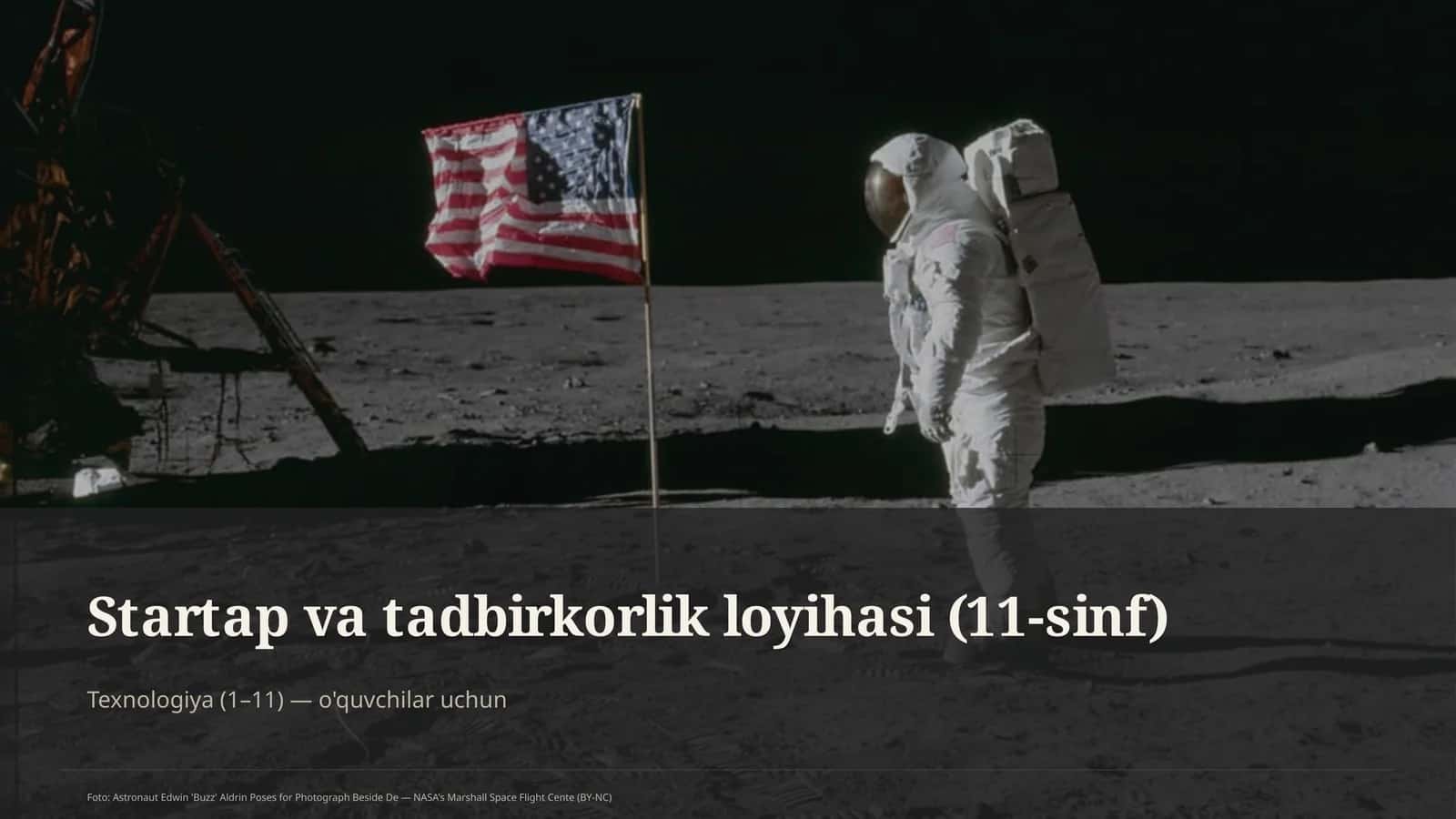 Startap va tadbirkorlik loyihasi (11-sinf)