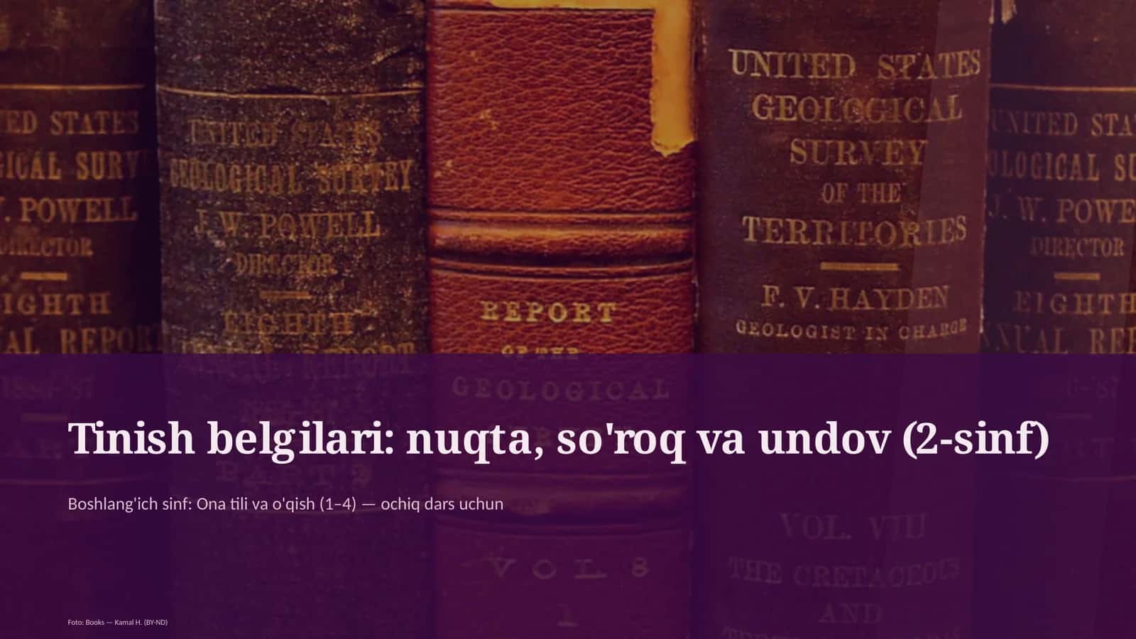 Tinish belgilari: nuqta, so'roq va undov (2-sinf)