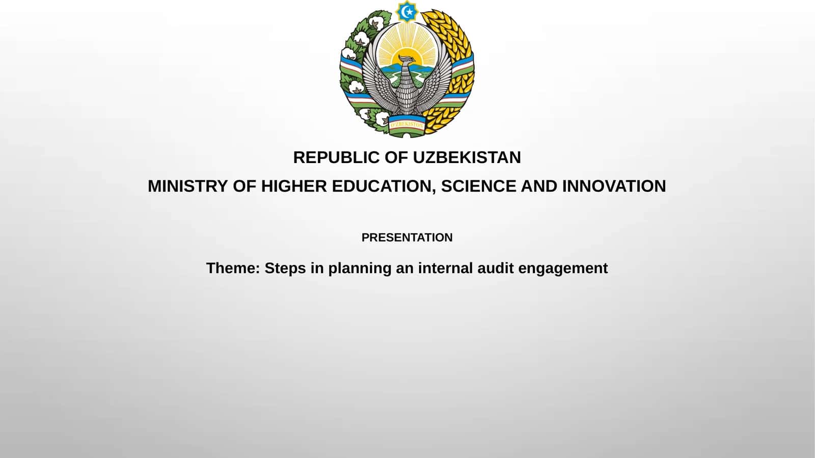 Steps in planning an internal audit engagement