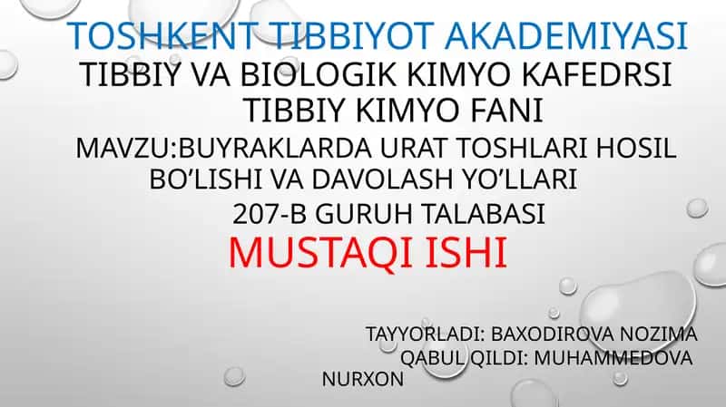 Toshkasalliklarining asosiy turkumlari