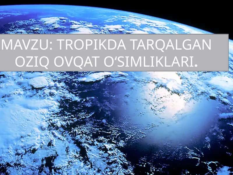 TROPIKDA TARQALGAN OZIQ OVQAT OʻSIMLIKLARI.