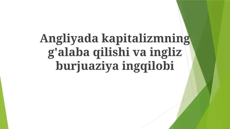 Ingliz burjuaziy inqilobi