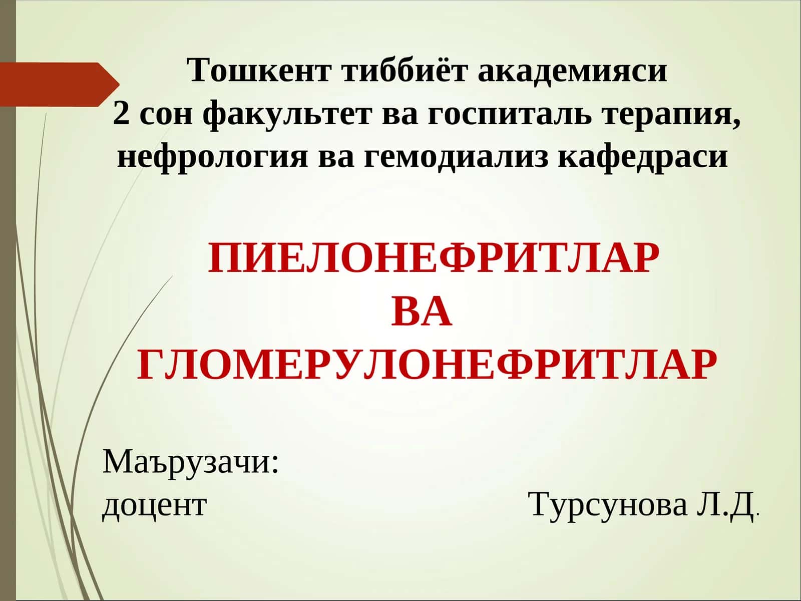 Пиелонефрит ва гломерулонефритлар