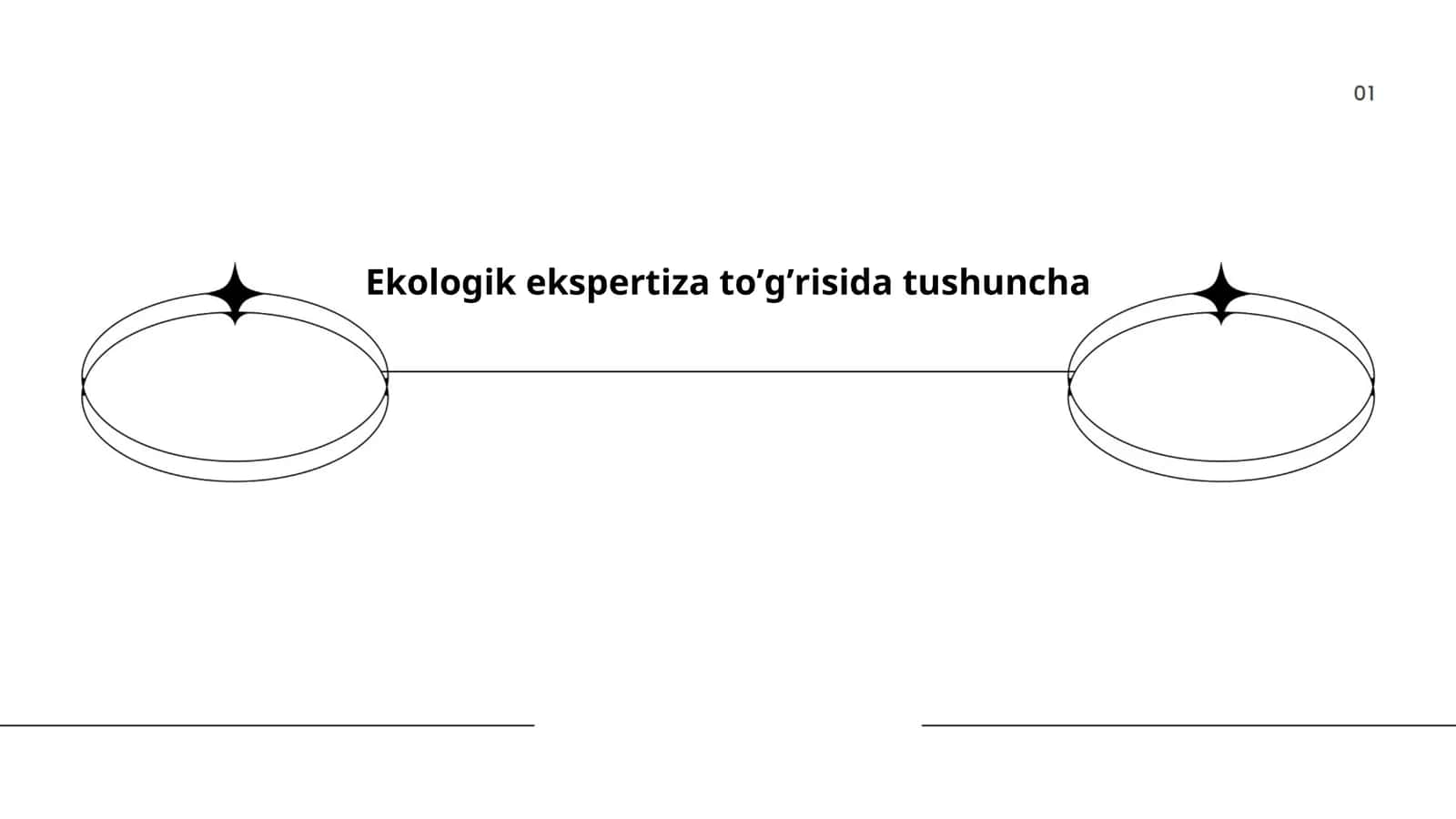 Ekologik ekspertiza