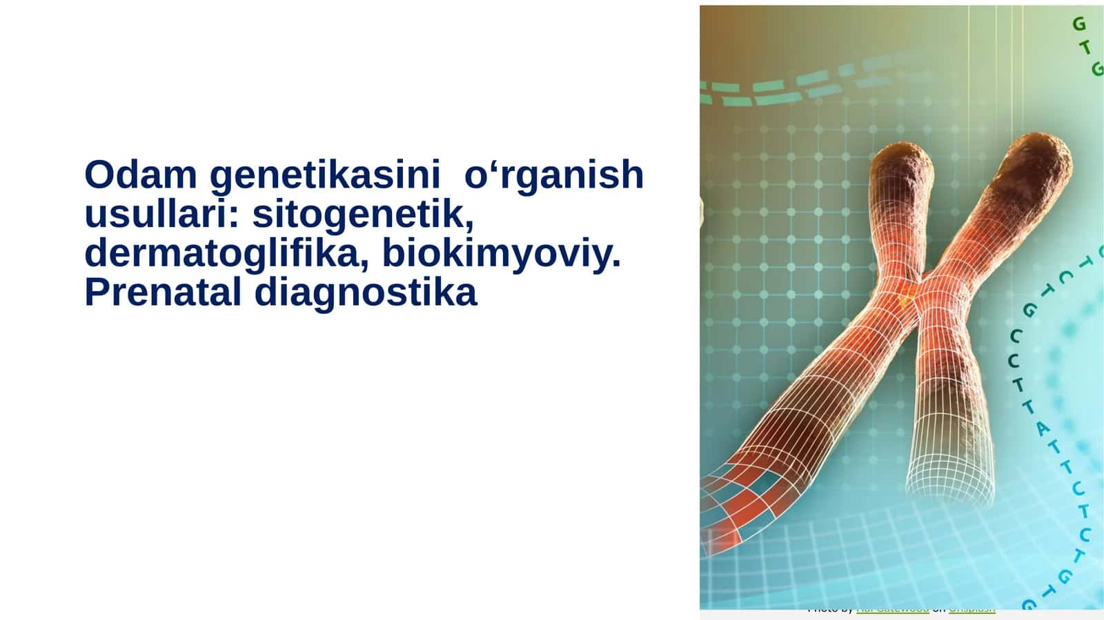 Odam genetikasini oʻrganish usullari: sitogenetik,dermatoglifika,biokimyoviy.