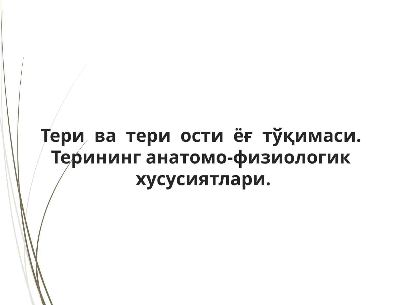 Тери ва тери ости ёғ тўқимаси. Терининг анатомо-физиологик хусусиятлари