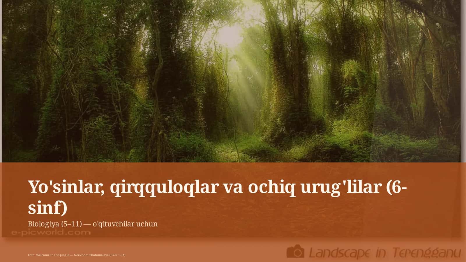 Yo'sinlar, qirqquloqlar va ochiq urug'lilar (6-sinf)