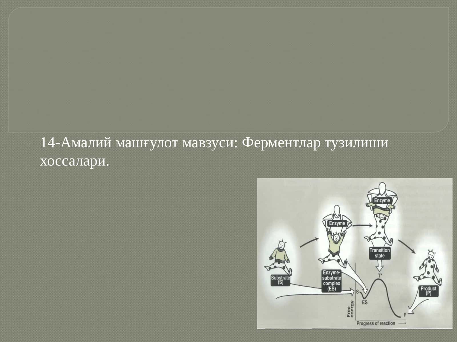 Ферментлар тузилиши хоссалари