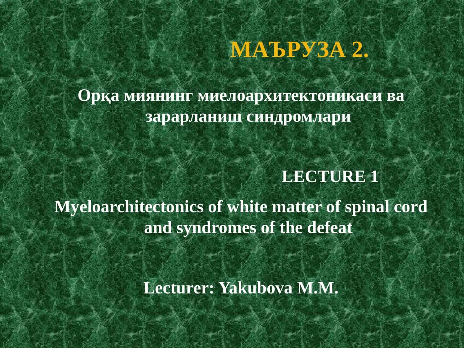 Orqa miyaning mileoarxitektonikasi