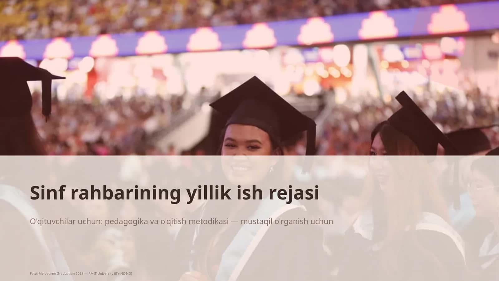 Sinf rahbarining yillik ish rejasi