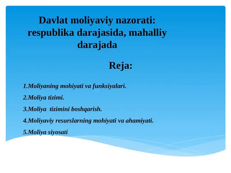 Davlat moliyaviy nazorati