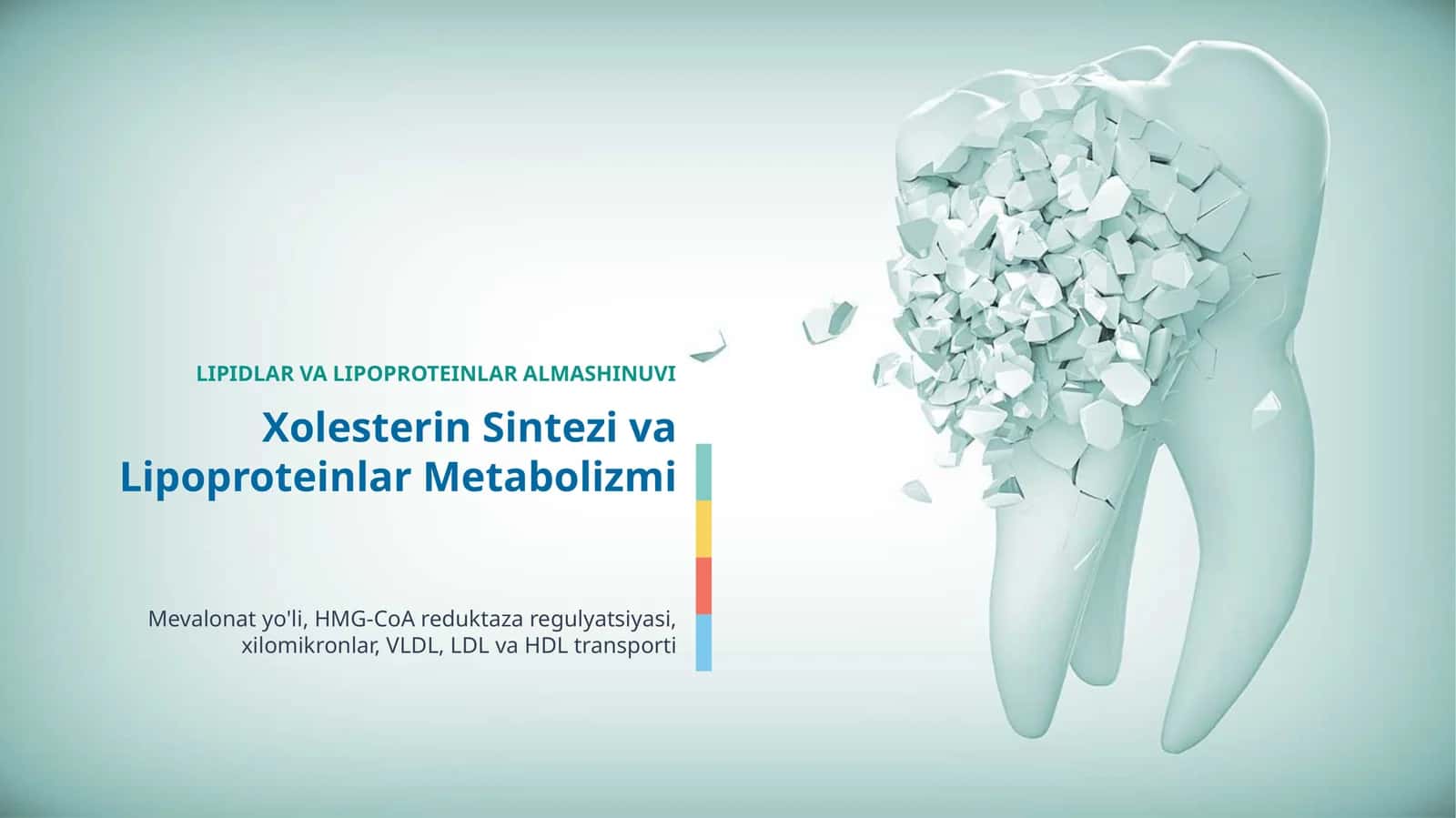 Lipidlar va Lipoproteinlar Almashinuvi, Xolesterin Sintezi