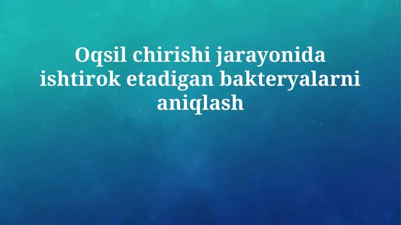 Protein parchalanishi